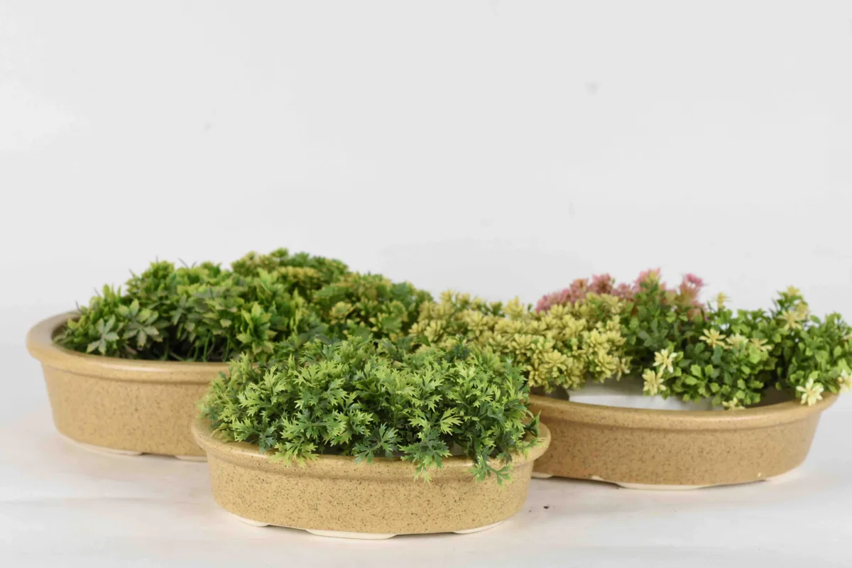 Classic Ceramic Planter Set of 3 (3" Dia) — Primary View