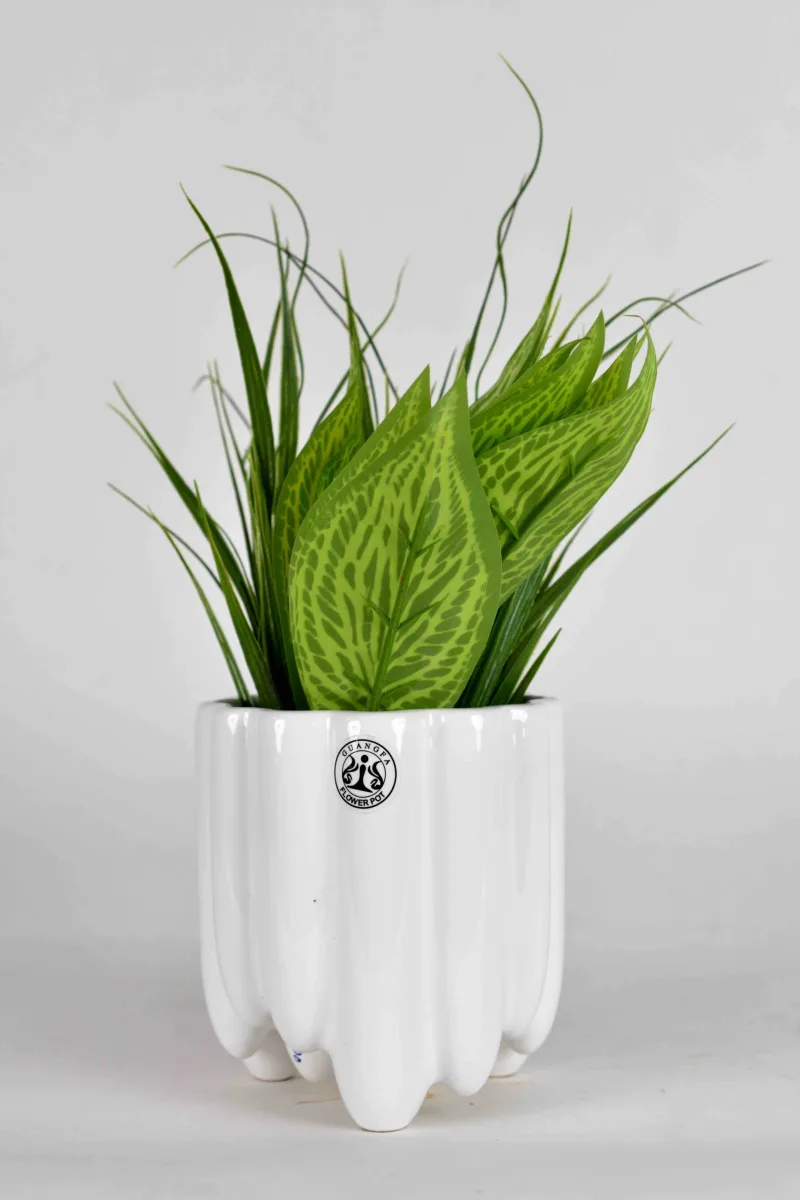 Classic Ceramic Planter — 5" Dia × 5" Height — Primary View