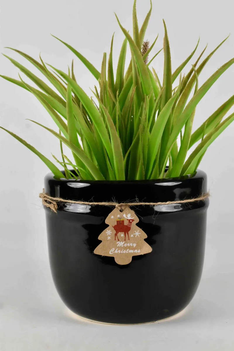 Classic Ceramic Planter Set of 3 (3" Dia) — Primary View