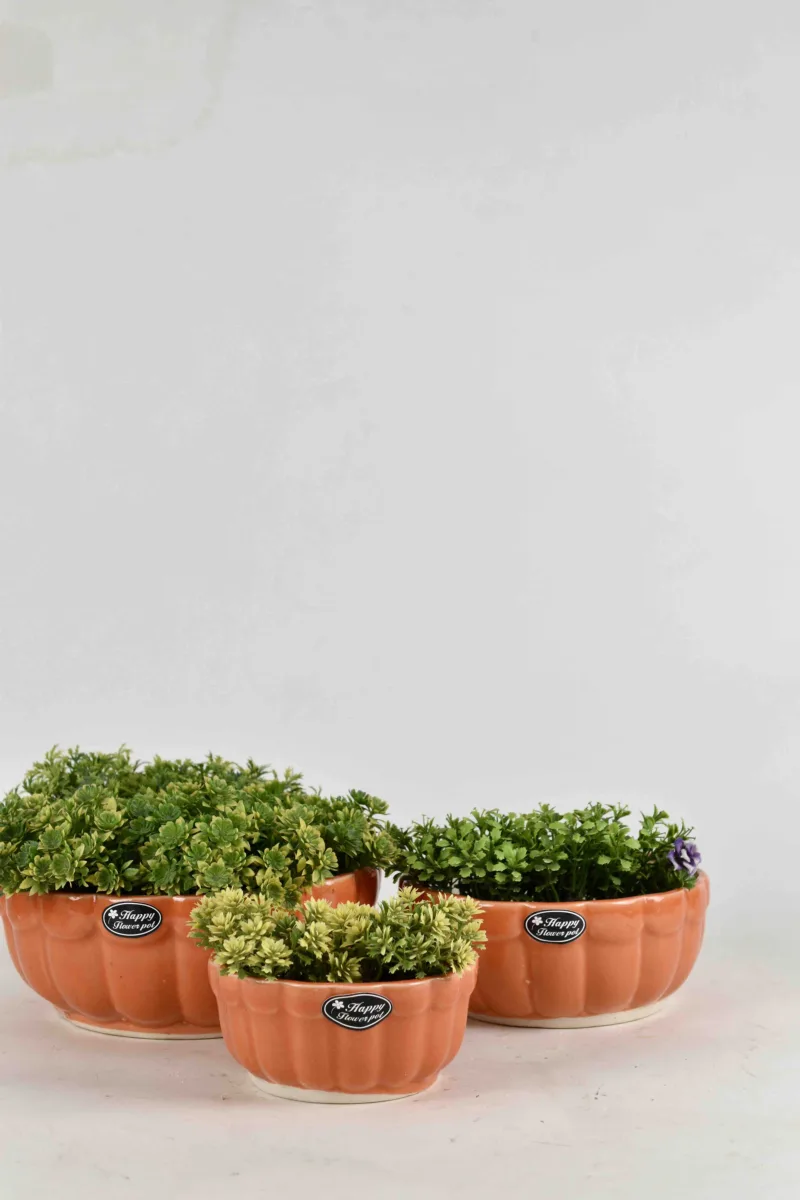Classic Ceramic Planter Set of 2 (5" Dia × 3.5" Height) — Primary View