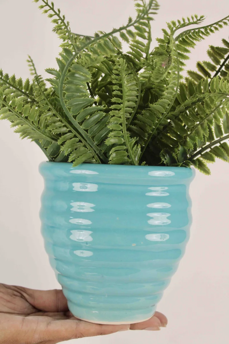 Classic Ceramic Planter — 5.5" Dia × 3" Height — Primary View
