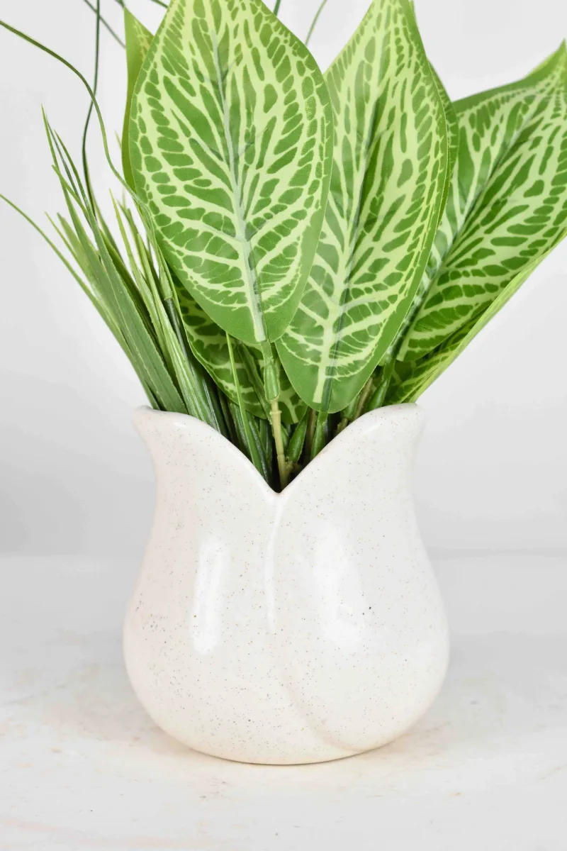 Classic Ceramic Planter — 5" Dia × 5" Height — Primary View