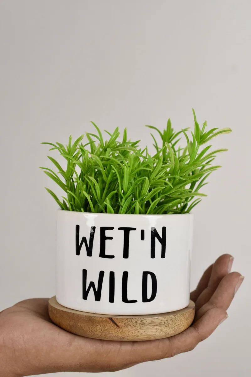 Classic Ceramic Planter — 5" Dia × 4.5" Height — Primary View