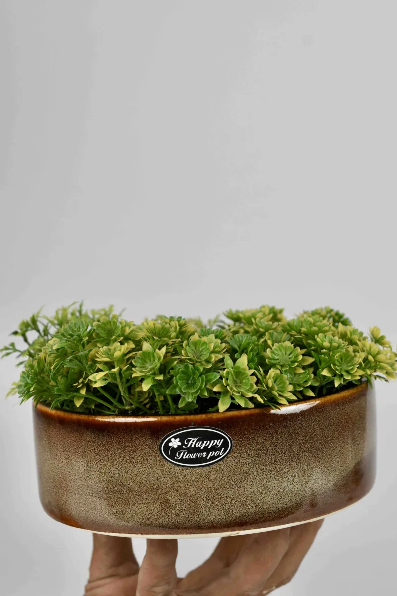 Classic Ceramic Planter — 5.5" Dia × 5.5" Height — Primary View