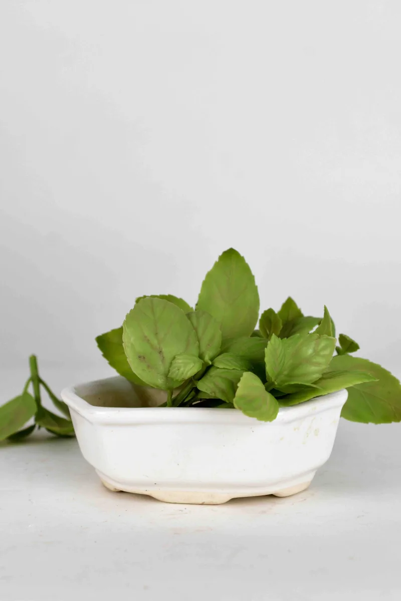 Classic Ceramic Planter — 7" Dia × 8.5" Height — Primary View