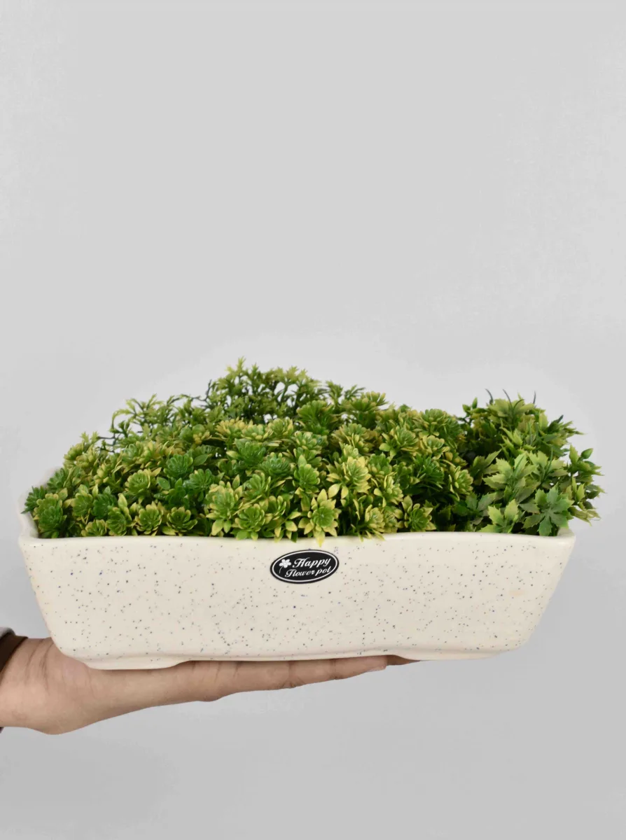 Classic Ceramic Planter — 5" Dia × 4" Height — Primary View