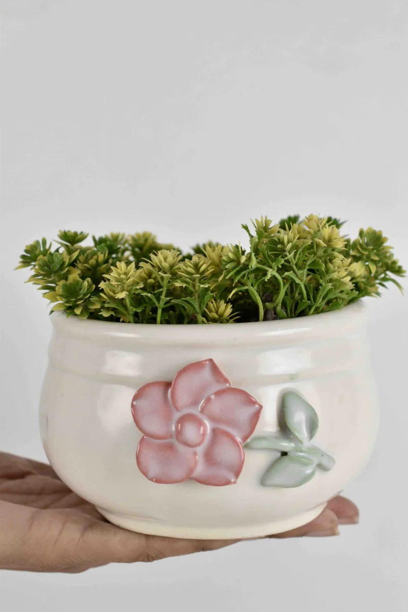 Classic Ceramic Planter — 5.5" Dia × 5.5" Height — Primary View