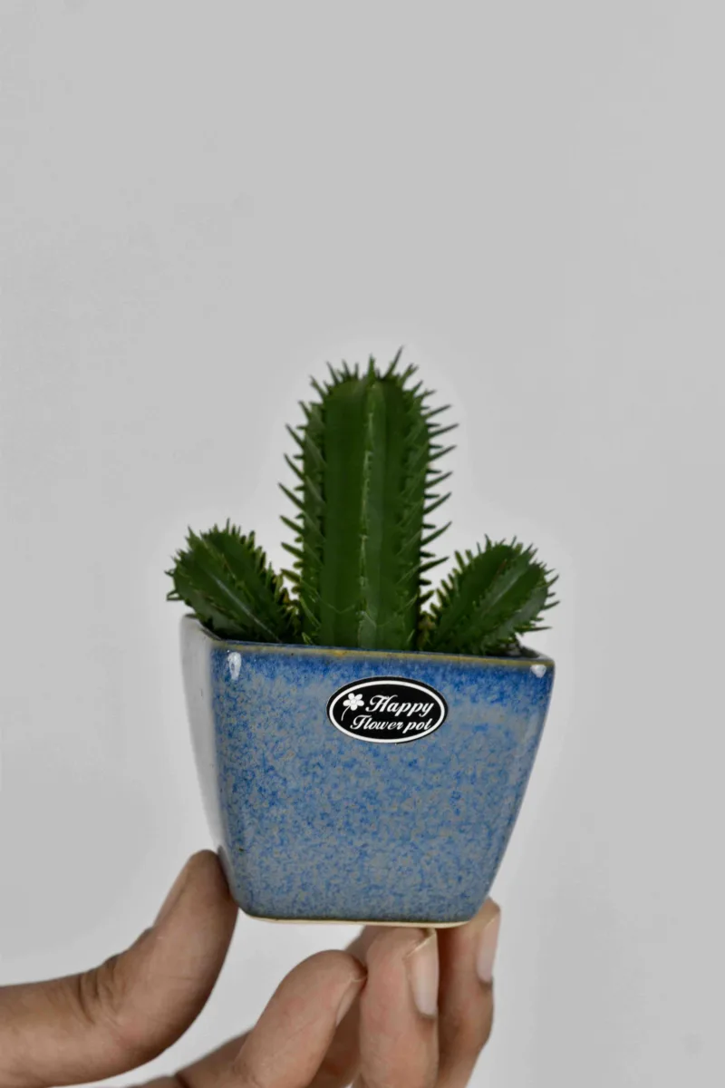 Classic Ceramic Planter — 6.5" Dia × 4.5" Height — Primary View