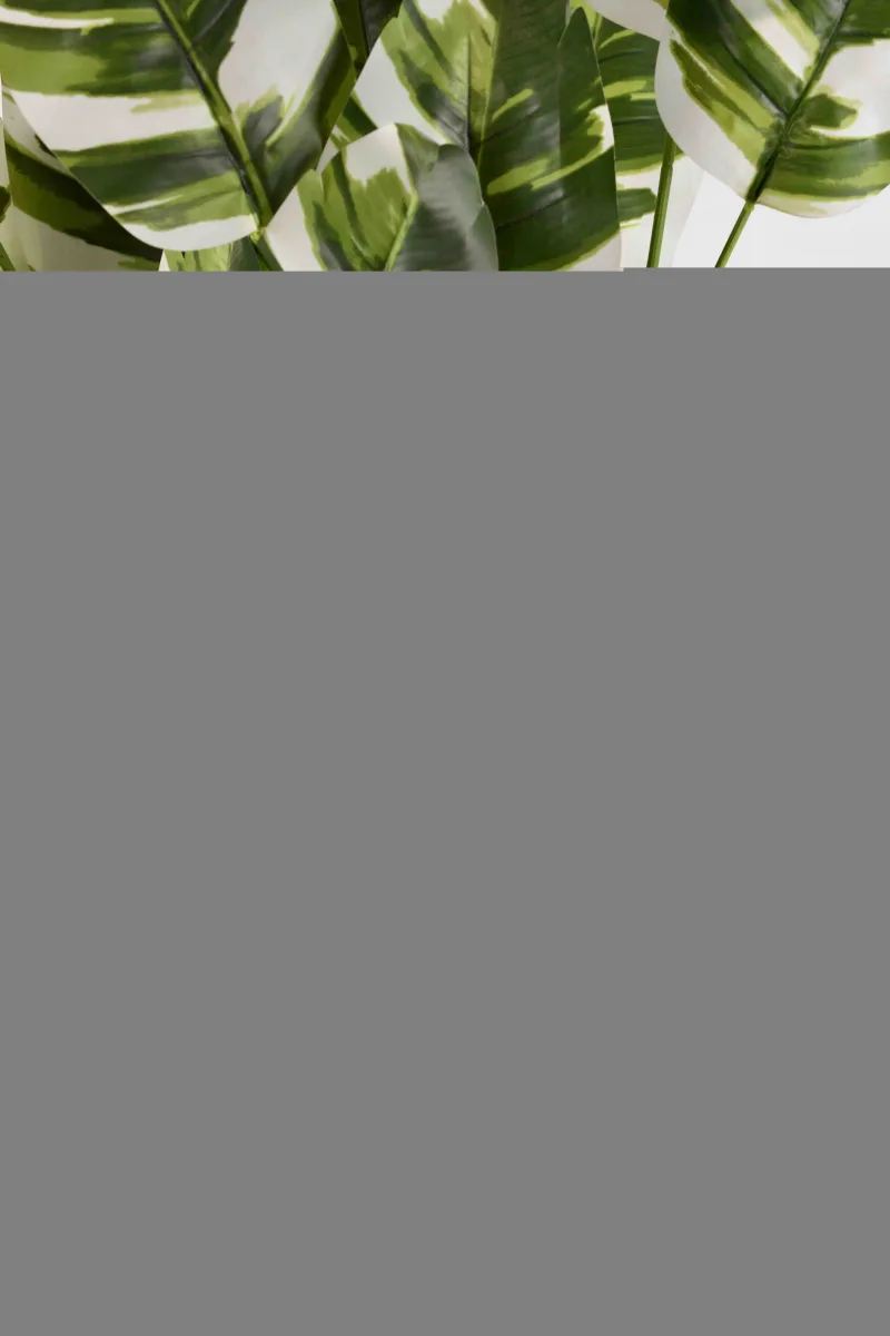 Classic Ceramic Planter — 5.5" Dia × 5.5" Height — Primary View