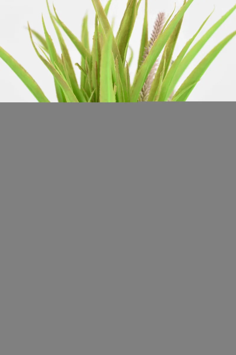 Classic Ceramic Planter Set of 3 (3" Dia) — Primary View