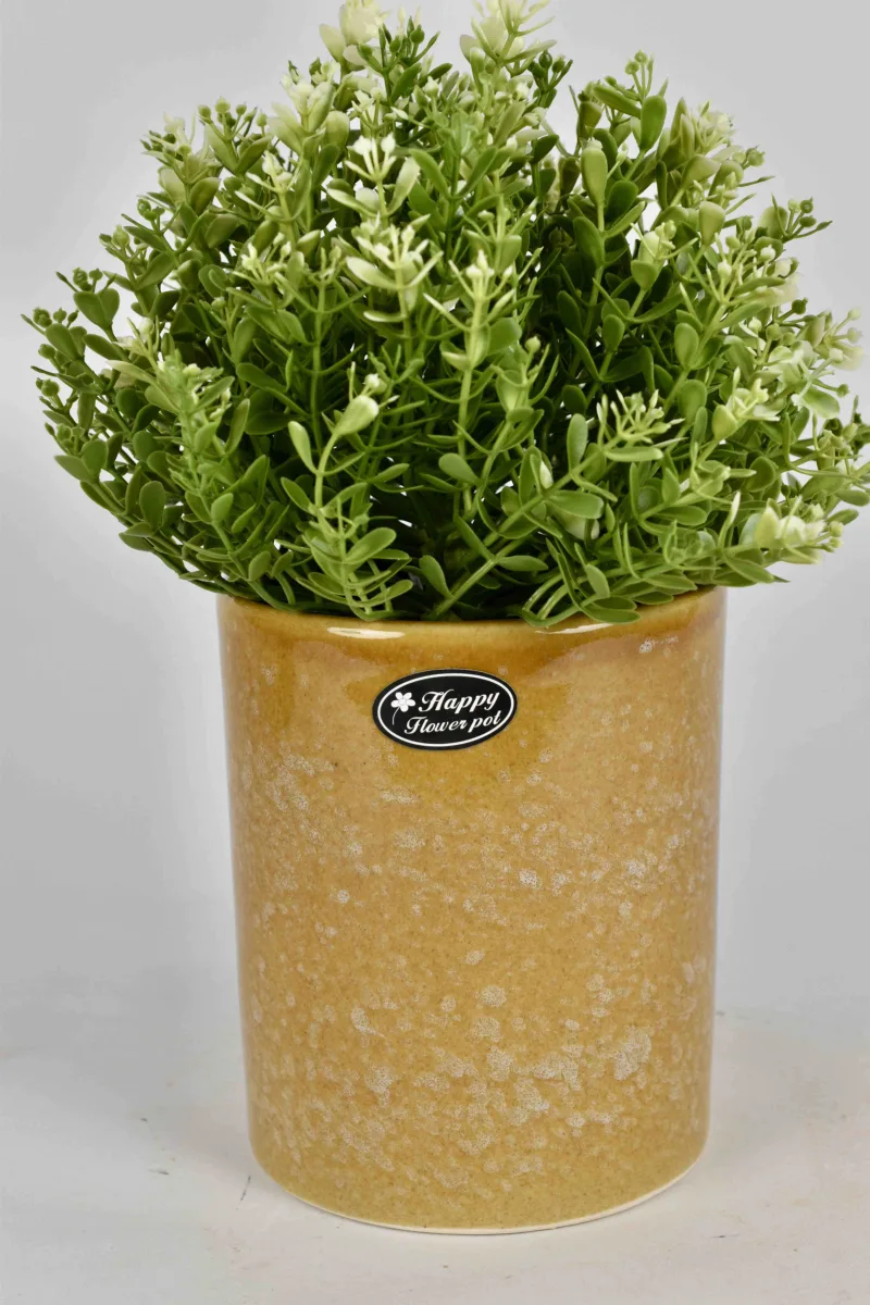 Classic Ceramic Planter — 5" Dia × 5" Height — Primary View