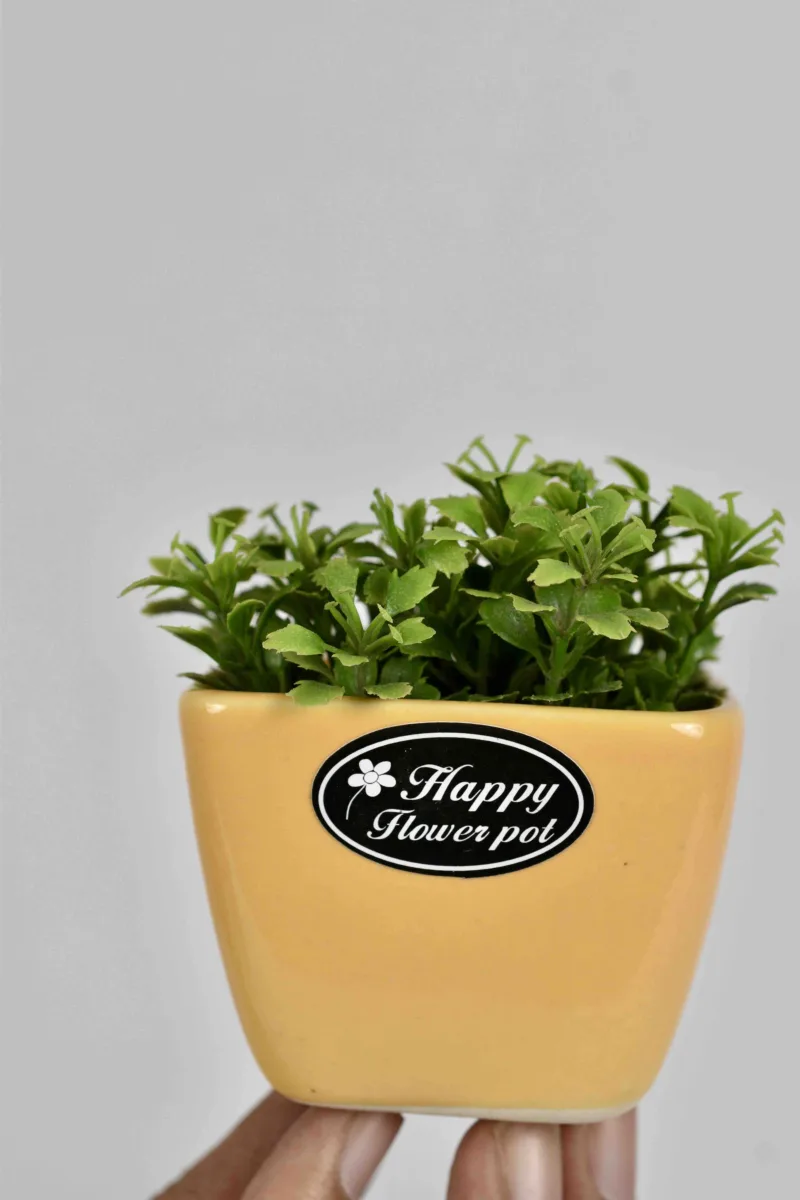 Classic Ceramic Planter — 5" Dia × 4" Height — Primary View