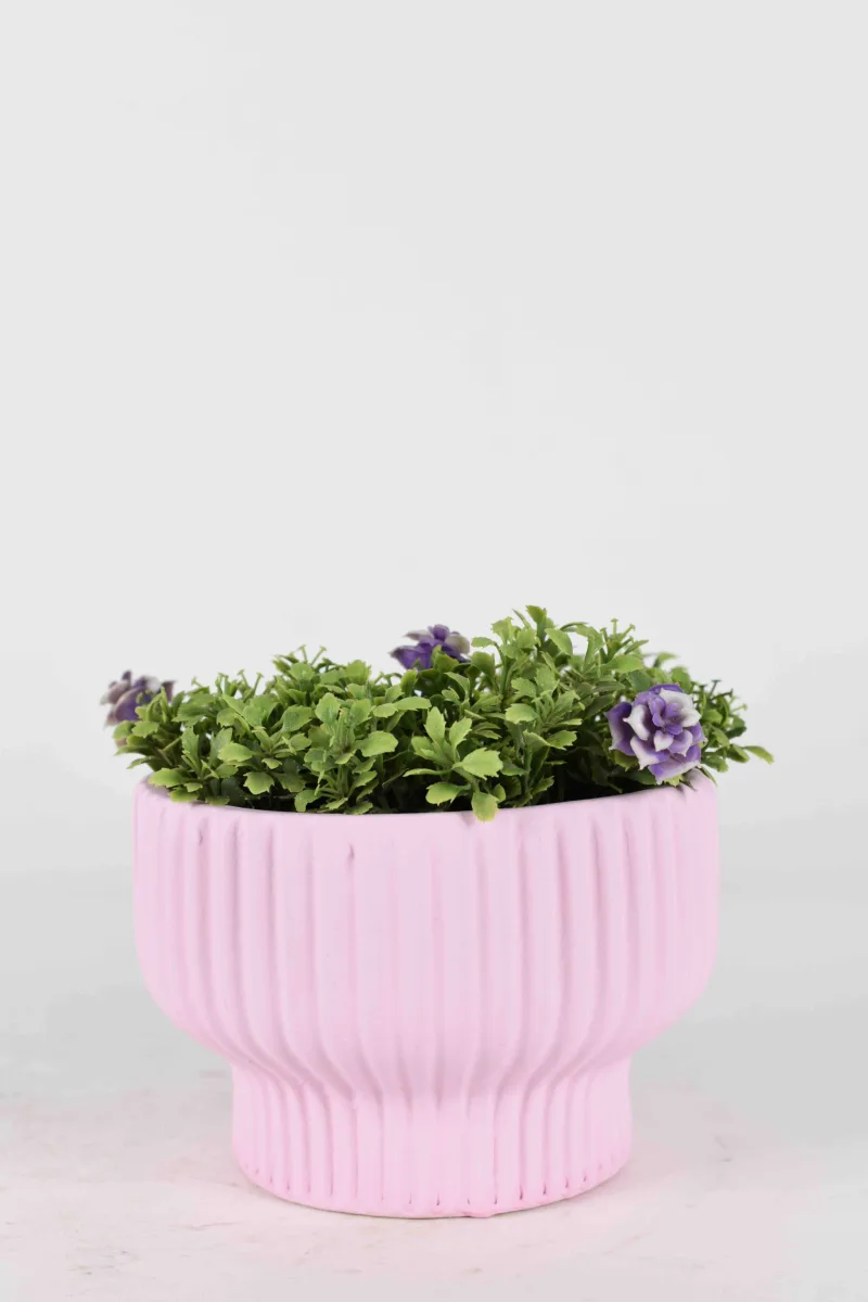 Classic Ceramic Planter — 5.5" Dia × 5" Height — Primary View