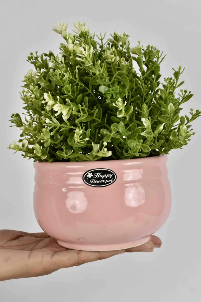 Classic Ceramic Planter — 3" Dia × 3" Height — Primary View