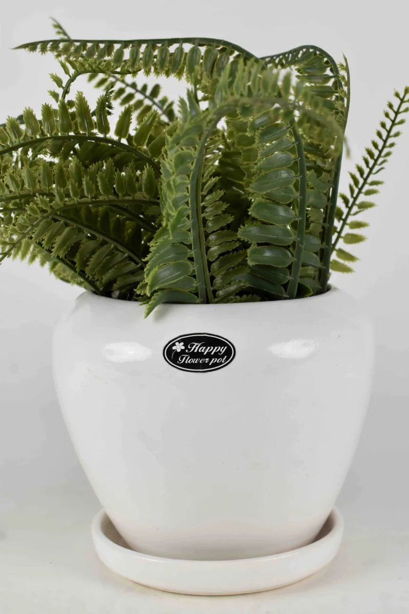 Classic Ceramic Planter — 11" Dia × 10" Height — Primary View