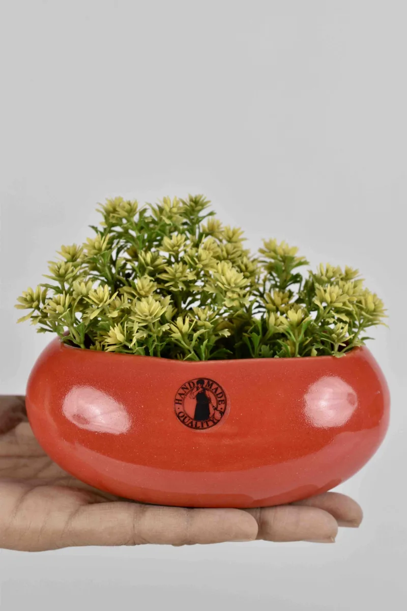 Classic Ceramic Planter — 6" Dia × 3" Height — Primary View