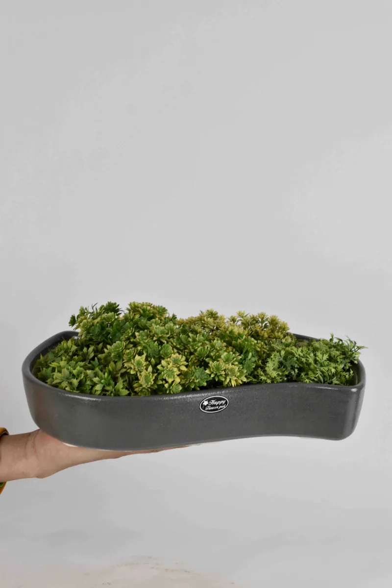 Classic Ceramic Planter — 5.5" Dia × 4" Height — Primary View
