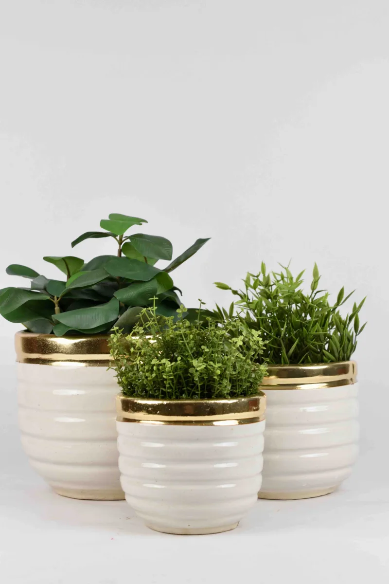 Classic Ceramic Planter — 7.5" Dia × 9" Height — Primary View