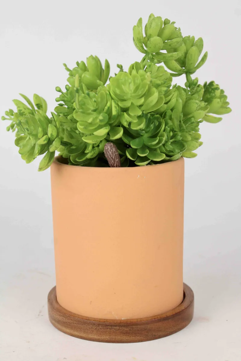 Classic Ceramic Planter — 6" Dia × 7" Height — Primary View