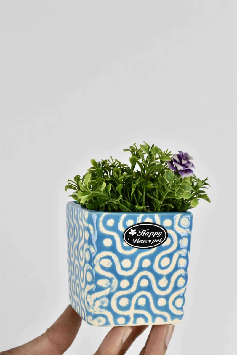 Classic Ceramic Planter — 6" Dia × 3" Height — Primary View