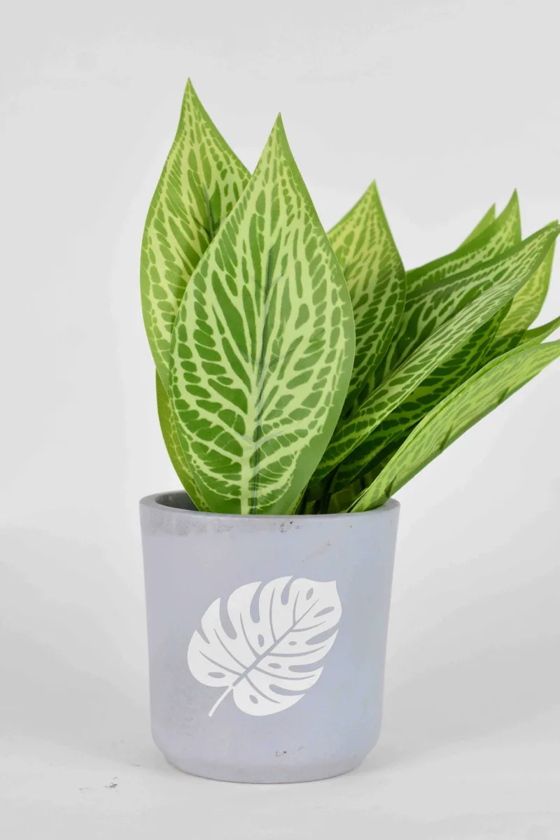 Classic Ceramic Planter — 4.5" Dia × 5" Height — Primary View