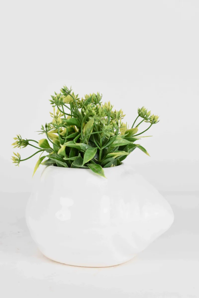 Classic Ceramic Planter — 4.5" Dia × 5" Height — Primary View