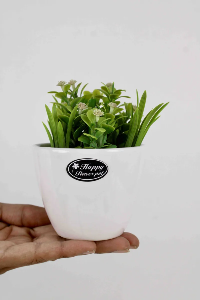 Classic Ceramic Planter — 6" Dia × 5" Height — Primary View
