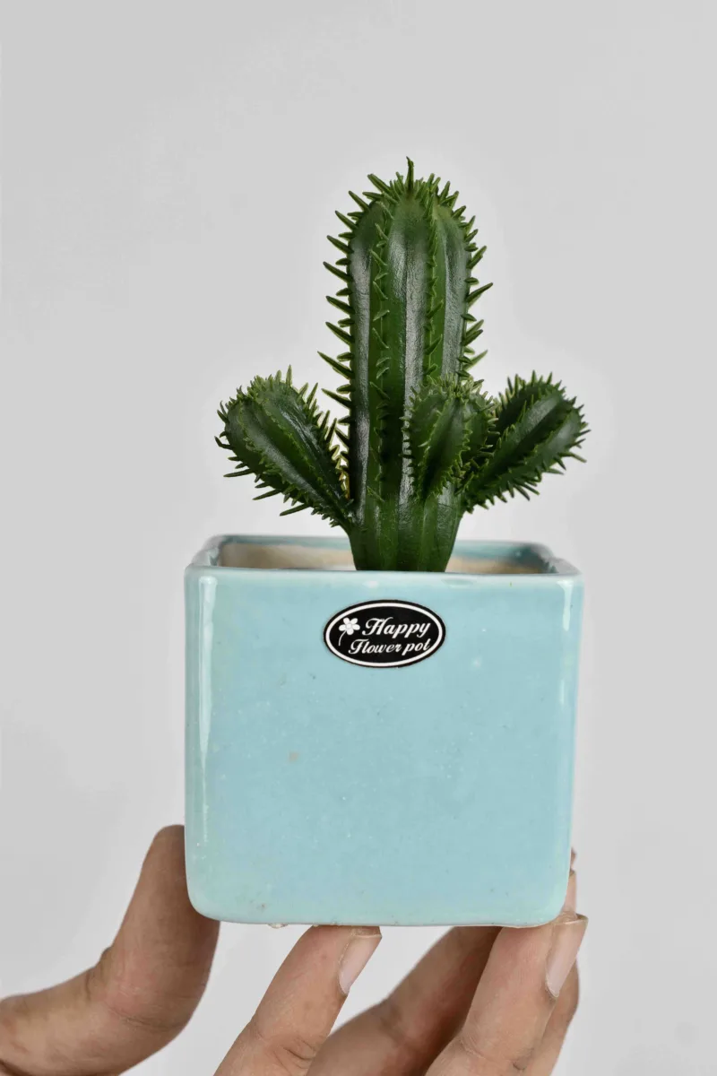 Classic Ceramic Planter — 4.5" Dia × 4" Height — Primary View