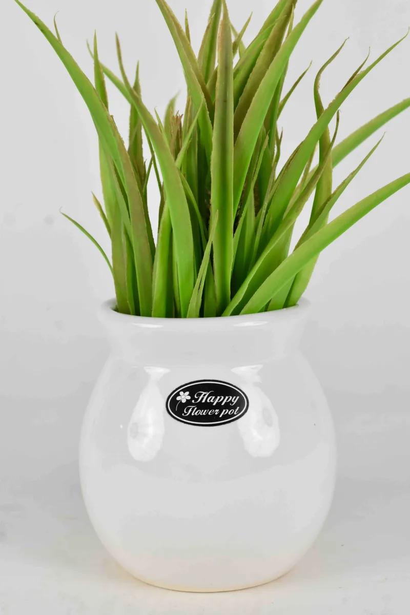 Classic Ceramic Planter — 5" Dia × 4.5" Height — Primary View
