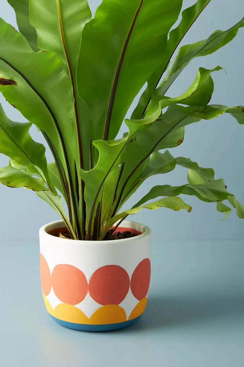 Classic Ceramic Planter Set of 3 (3" Dia) — Primary View