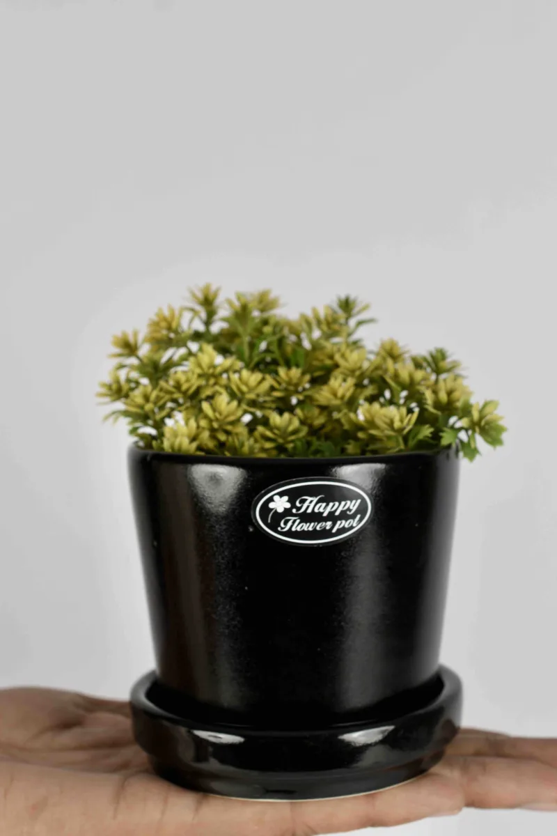 Classic Ceramic Planter — 4" Dia × 3.5" Height — Primary View
