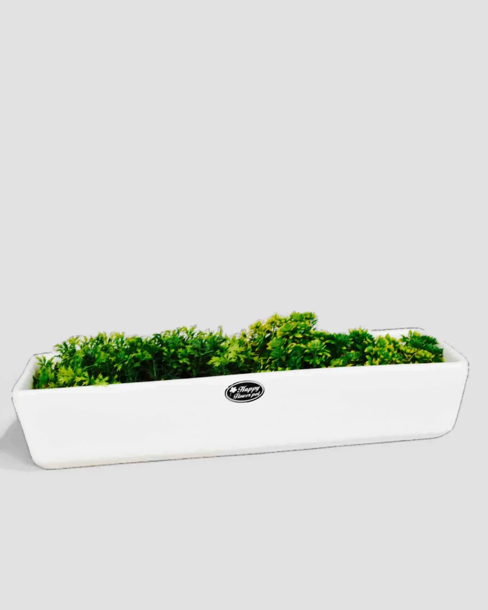 Classic Ceramic Planter — 7" Dia × 2.5" Height — Primary View