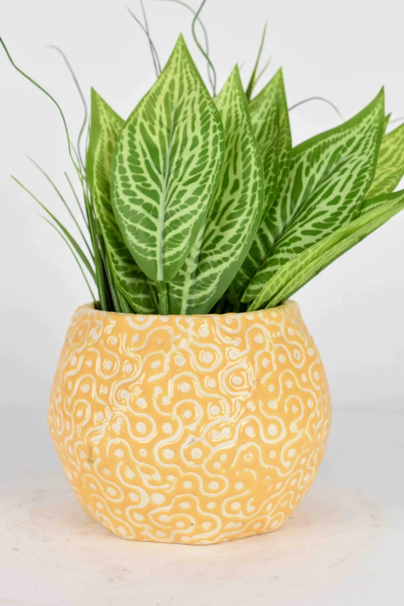 Classic Ceramic Planter — 5.5" Dia × 2" Height — Primary View