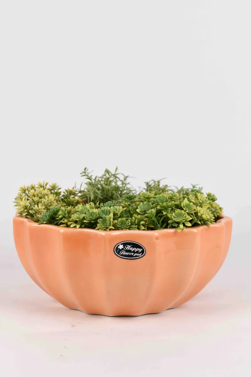 Classic Ceramic Planter — 6" Dia × 4" Height — Primary View