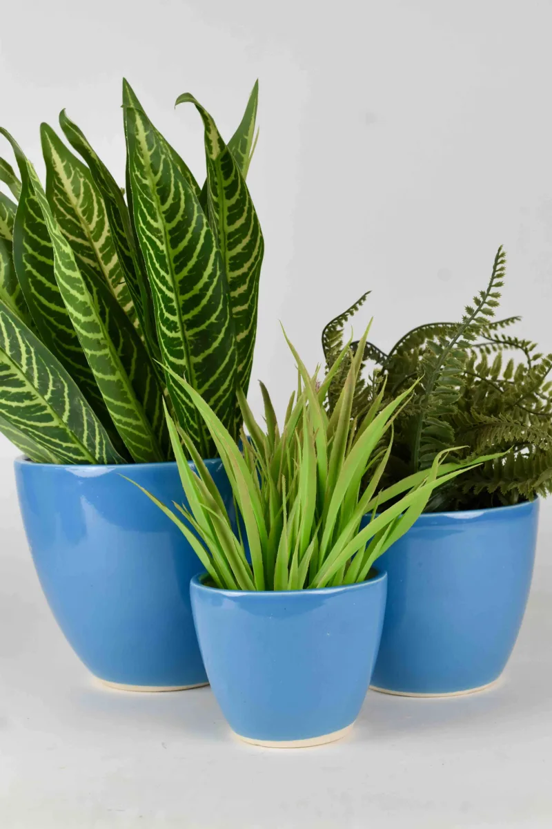 Classic Ceramic Planter — 6.5" Dia × 6.5" Height — Primary View