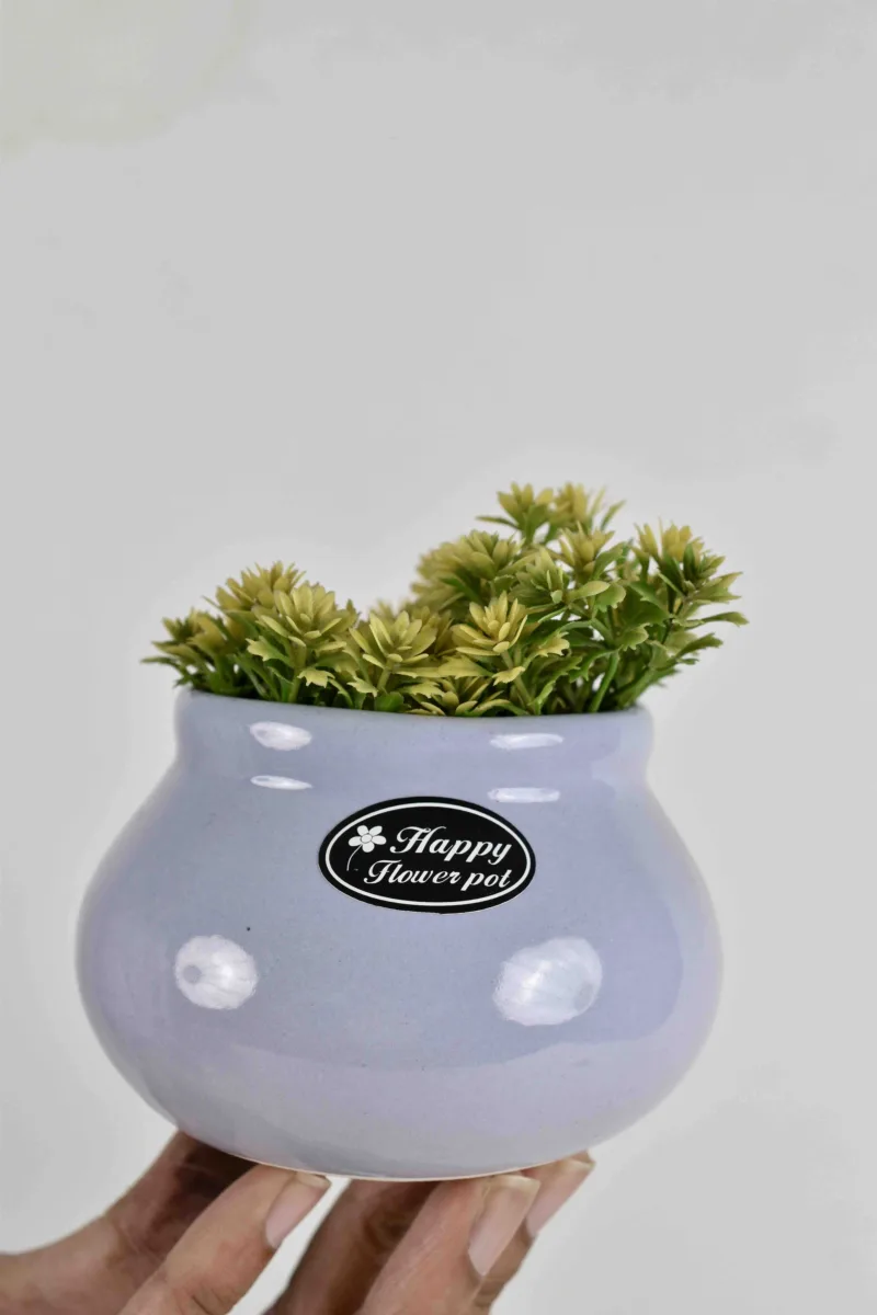Classic Ceramic Planter — 11" Dia × 3" Height — Primary View