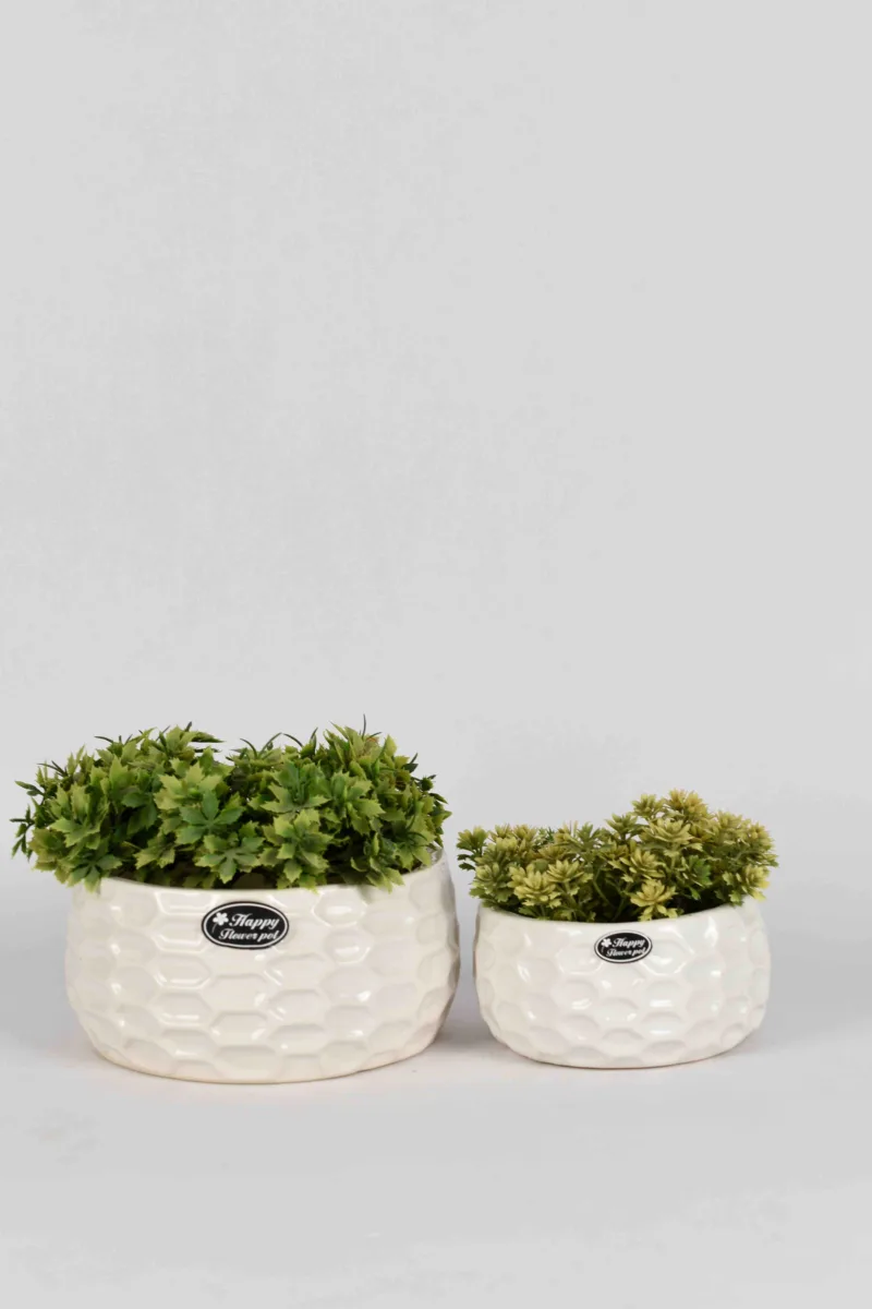 Classic Ceramic Planter — 9" Dia × 6" Height — Primary View