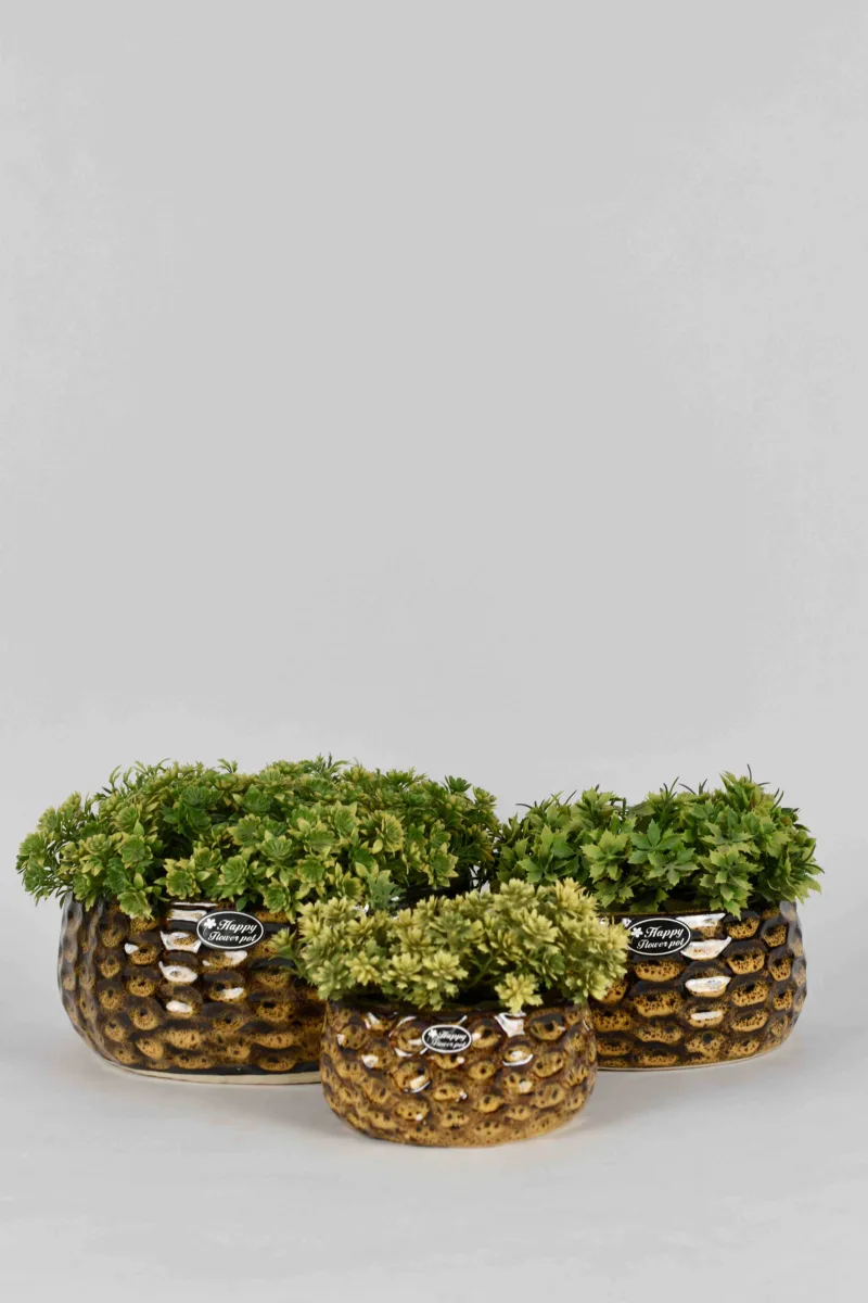 Classic Ceramic Planter — 2" Dia × 2" Height — Primary View