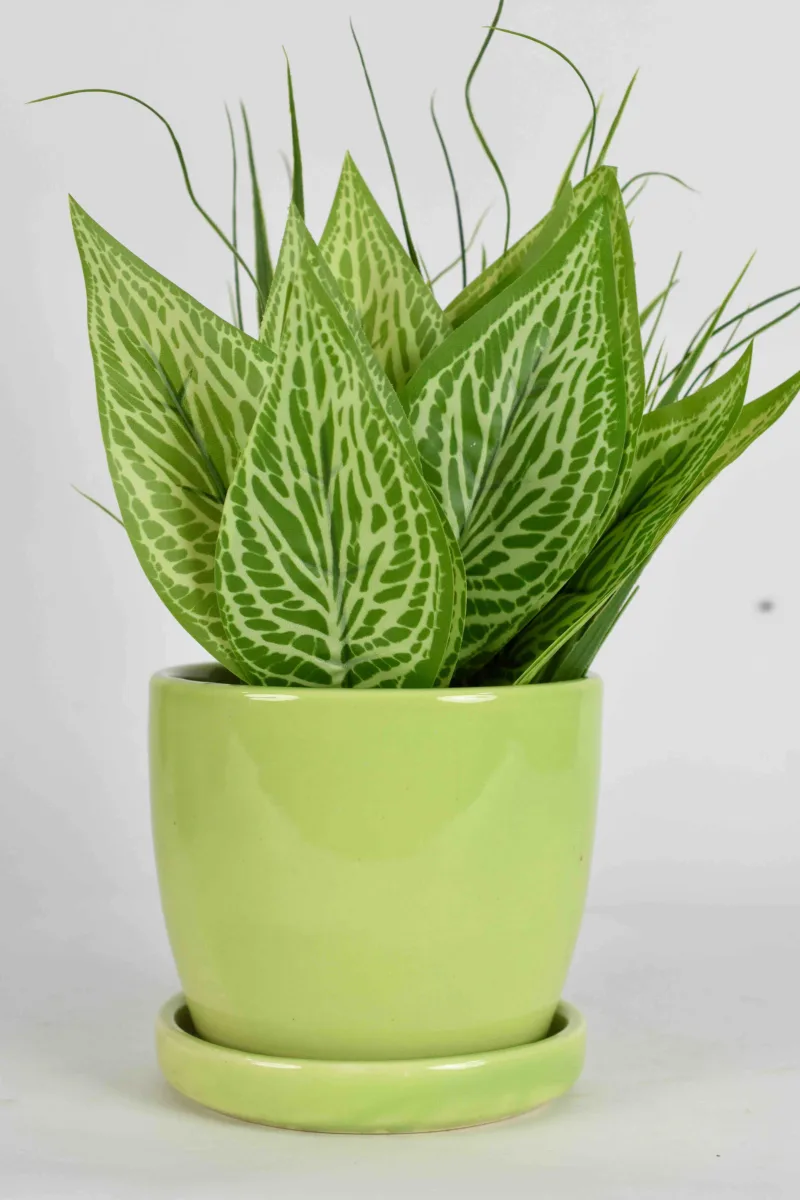 Classic Ceramic Planter — 4.5" Dia × 4.5" Height — Primary View