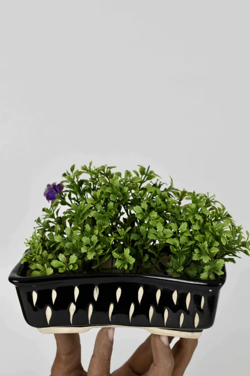 Classic Ceramic Planter — 6" Dia × 3.5" Height — Primary View