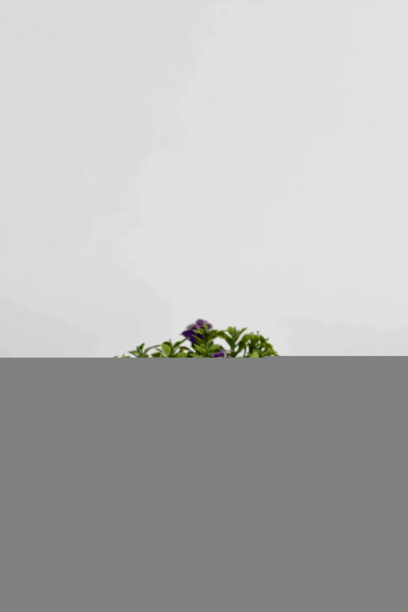 Classic Ceramic Planter — 4" Dia × 3.5" Height — Primary View