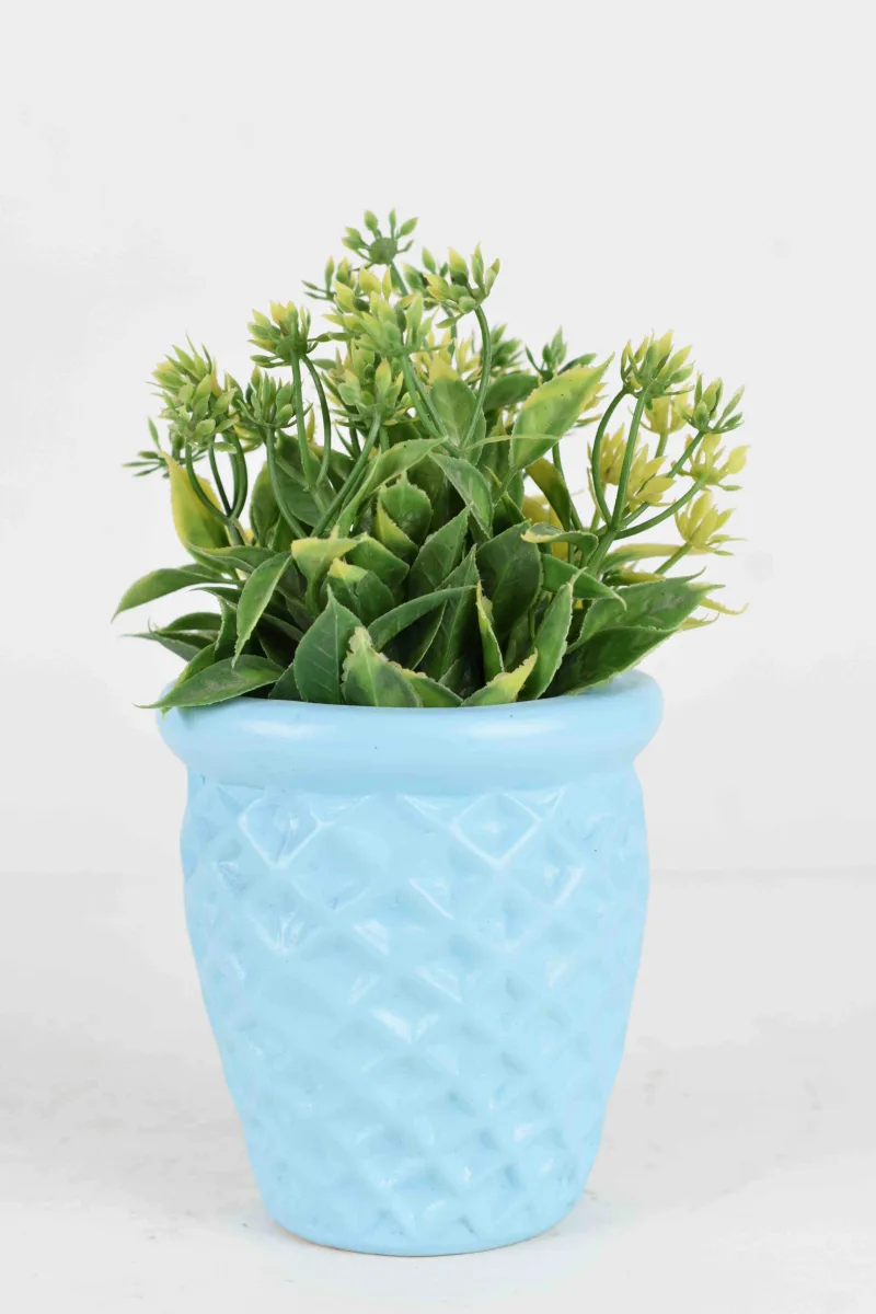 Classic Ceramic Planter — 5.5" Dia × 5.5" Height — Primary View