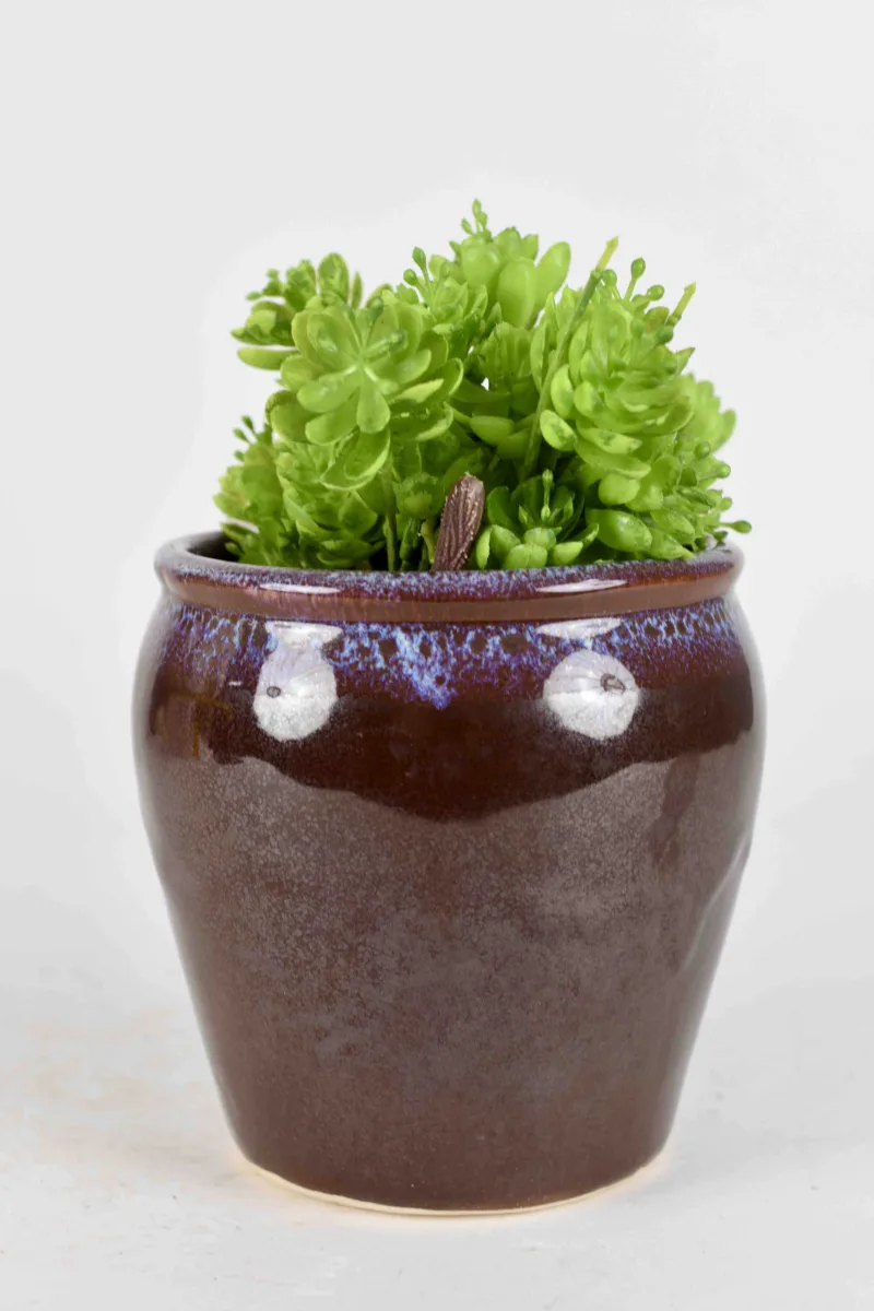 Classic Ceramic Planter — 12" Dia × 2.5" Height — Primary View
