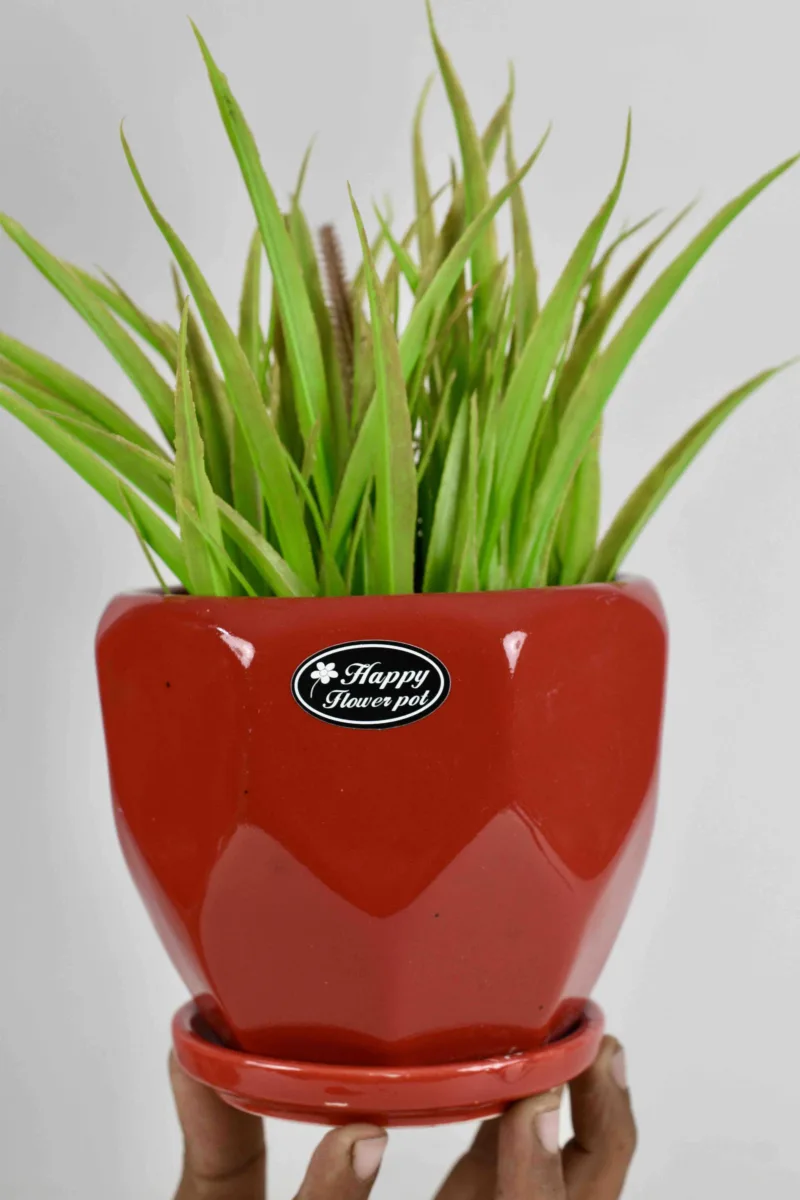 Classic Ceramic Planter — 4.5" Dia × 4.5" Height — Primary View