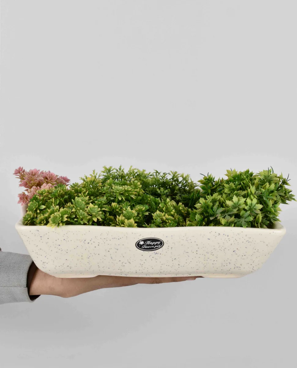 Classic Ceramic Planter Set of 3 (3" Dia) — Primary View