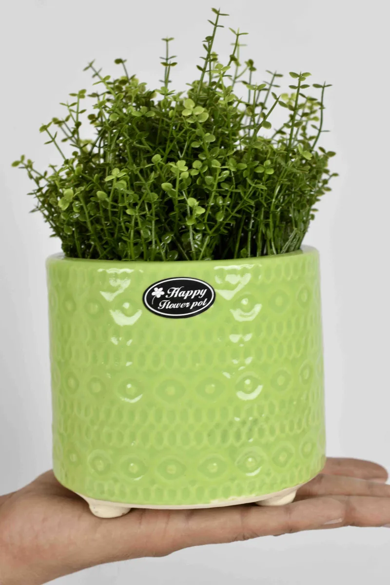 Classic Ceramic Planter Set of 3 (3" Dia) — Primary View