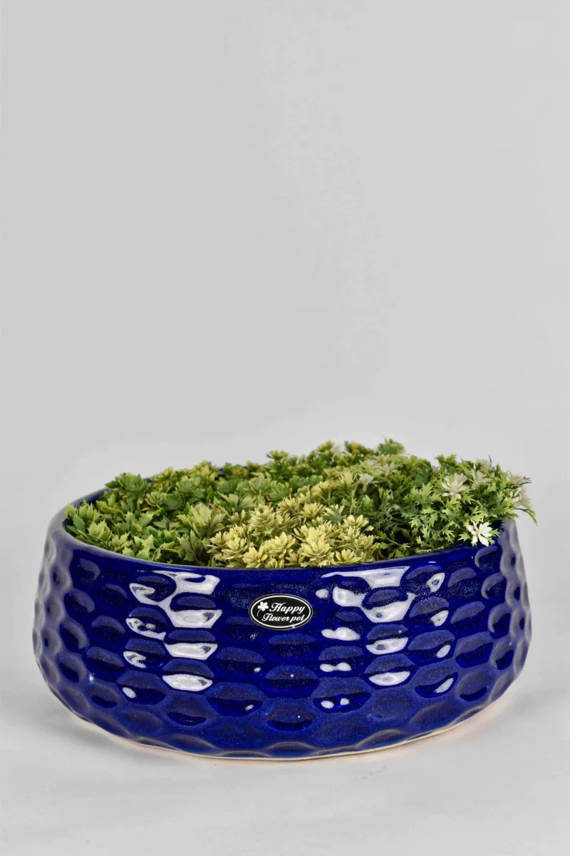 Classic Ceramic Planter — 4.5" Dia × 5" Height — Primary View