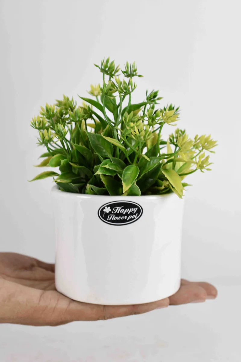 Classic Ceramic Planter — 3" Dia × 3" Height — Primary View