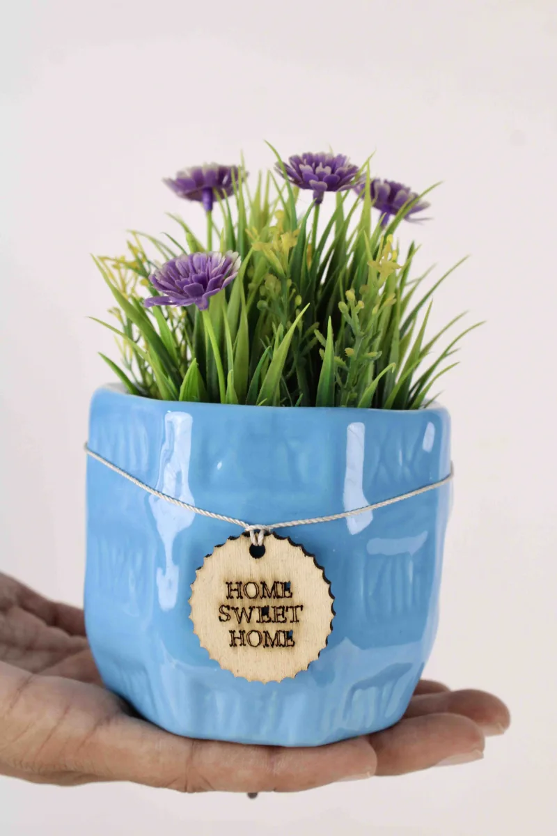 Classic Ceramic Planter Set of 2 (2" Dia) — Primary View