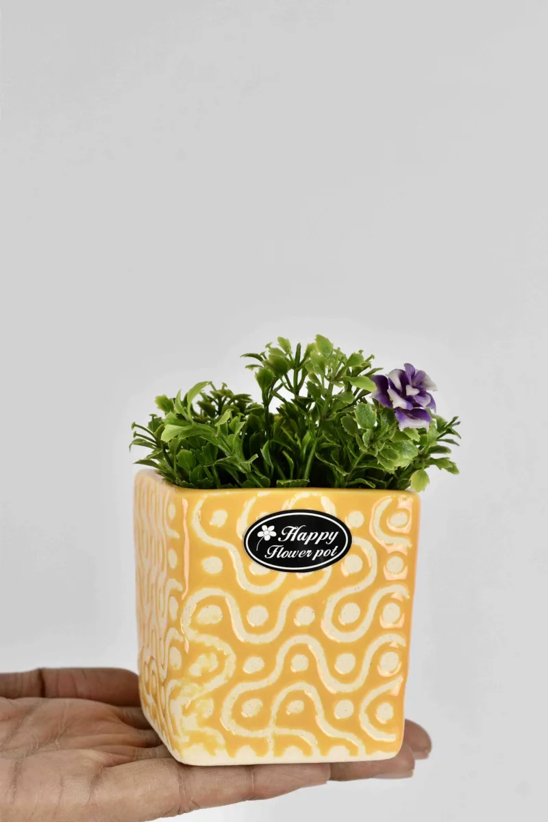 Classic Ceramic Planter — 3.5" Dia × 4.5" Height — Primary View